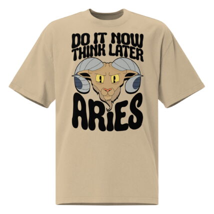 Camiseta oversize Aries